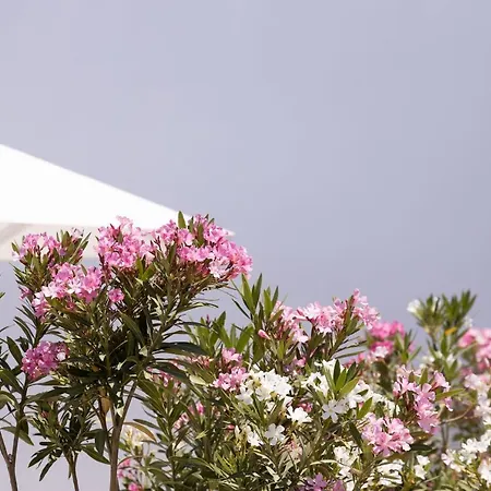 Archon Seaside Retreat 公寓式酒店 4*