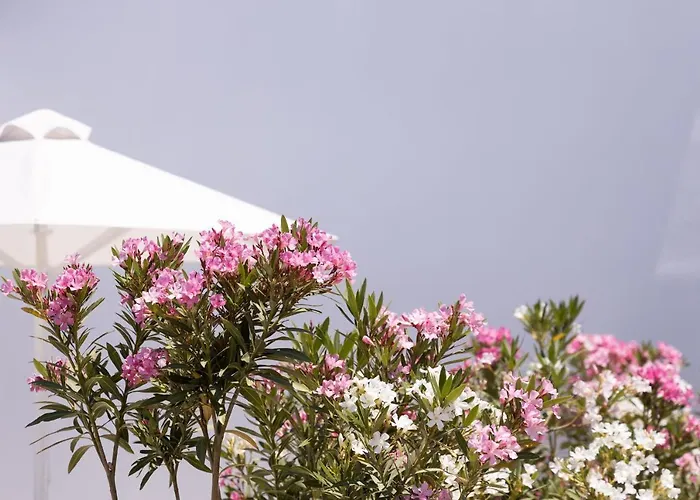 Archon Seaside Retreat Aparthotel 4*